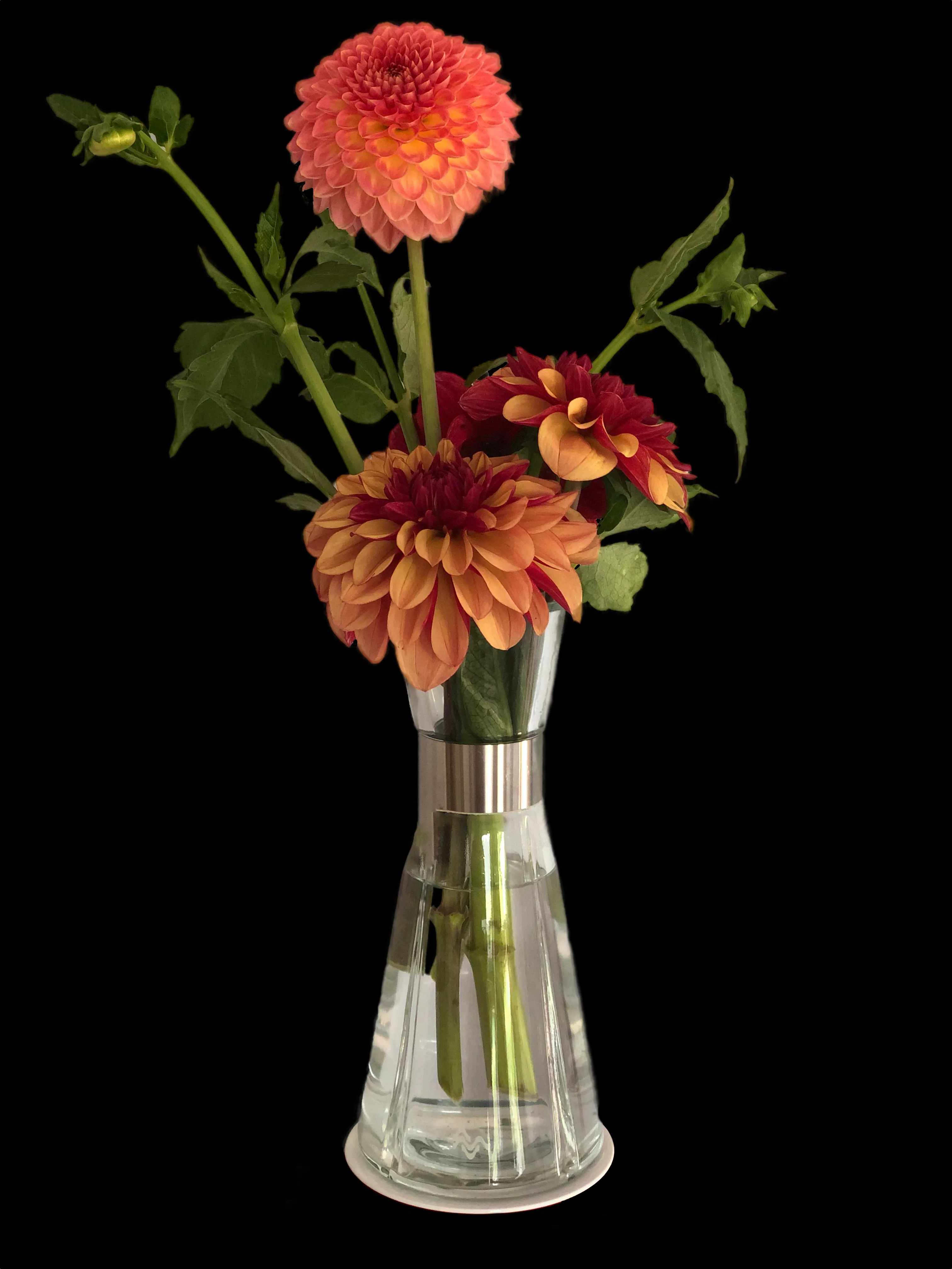 Dahlias fra marken · Fra mark til vase